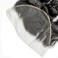 Brazilian HD Loose Wave Frontal
